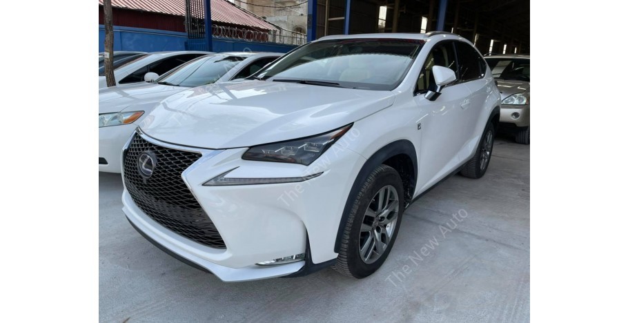S P Car Market